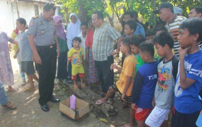 Jasad Bayi Ditemukan di Sungai Perunggahan Kulon Tuban Jasad Bayi Ditemukan di Sungai Perunggahan Kulon Tuban