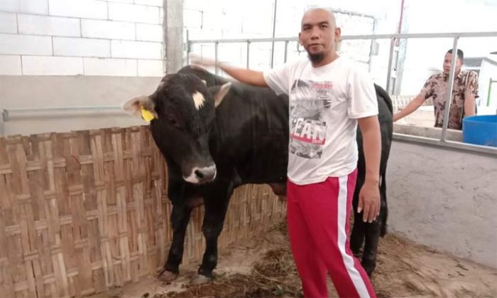 Perwakilan HKTI Pamekasan Dapat 2 Ekor Sapi Belgian Blue dari Presiden Jokowi Perwakilan HKTI Pamekasan Dapat 2 Ekor Sapi Belgian Blue dari Presiden Jokowi