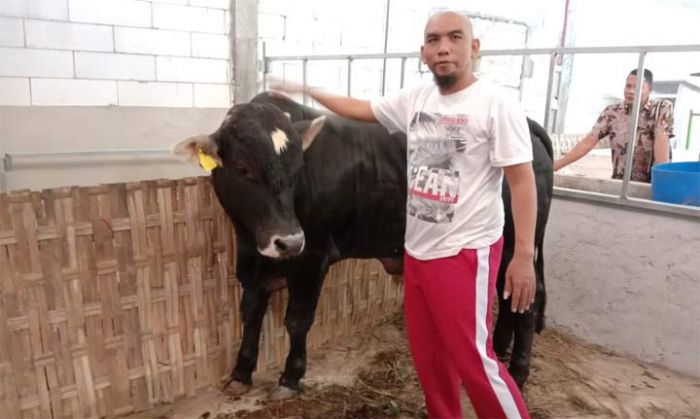 Perwakilan HKTI Pamekasan Dapat 2 Ekor Sapi Belgian Blue dari Presiden Jokowi 