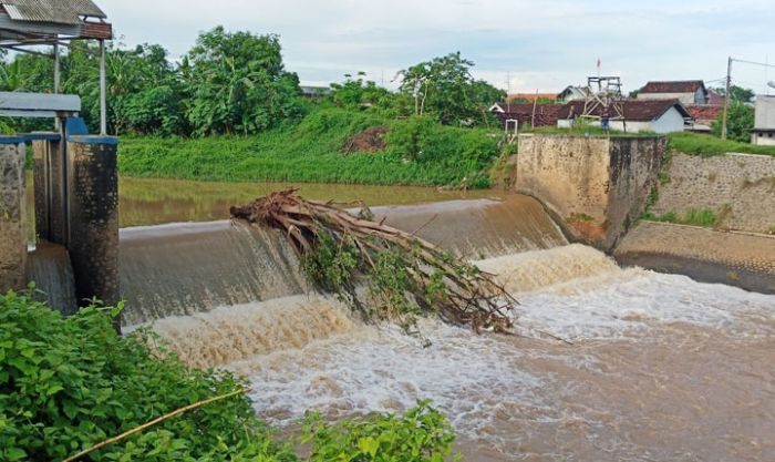 Pohon Keramat Nyangkut di Dam Telusur Ancam Jembatan Juritan Pohon Keramat Nyangkut di Dam Telusur Ancam Jembatan Juritan