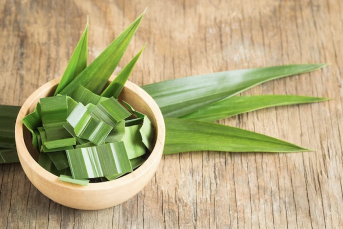 Benarkah Teh Daun Pandan Bisa Menurunkan Kadar Gula Darah dalam Tubuh? Ini Faktanya Benarkah Teh Daun Pandan Bisa Menurunkan Kadar Gula Darah dalam Tubuh? Ini Faktanya