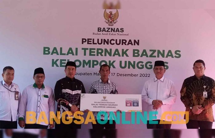 Balai Ternak Baznas Diluncurkan di Kabupaten Madiun Balai Ternak Baznas Diluncurkan di Kabupaten Madiun