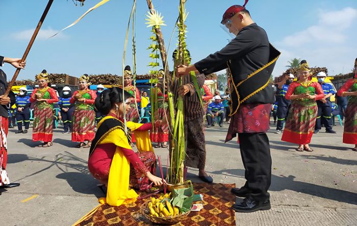 Tandai Awal Musim Giling, Pabrik Gula di Blitar Gelar Tradisi Manten Tebu Tandai Awal Musim Giling, Pabrik Gula di Blitar Gelar Tradisi Manten Tebu