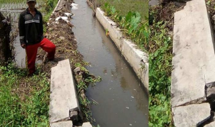 Perbaiki Jaringan Irigasi, Pemkab Pasuruan Siapkan Dana Miliaran Rupiah Perbaiki Jaringan Irigasi, Pemkab Pasuruan Siapkan Dana Miliaran Rupiah