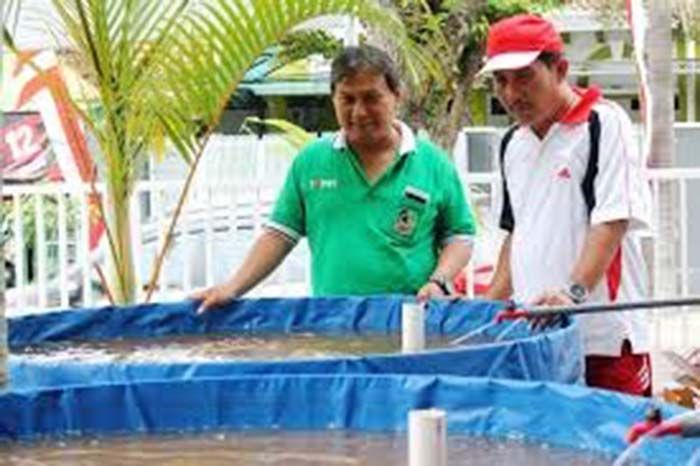 Dinas Perikanan Banyuwangi Gelar Pelatihan Budidaya Ikan Air Tawar bagi Kaum Milenial