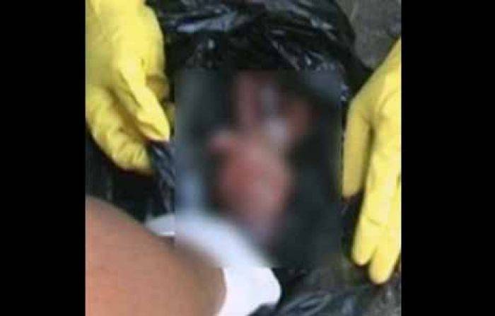 Mayat Bayi Dibuang di depan Makam Pademonegoro Sidoarjo, Diduga Hasil Hubungan Gelap Mayat Bayi Dibuang di depan Makam Pademonegoro Sidoarjo, Diduga Hasil Hubungan Gelap