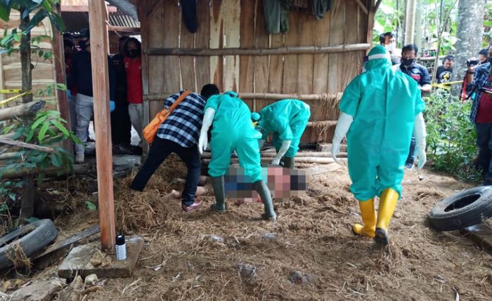 Diduga Korban Pembunuhan, Wanita di Ngawi Ditemukan Meninggal di Kandang Sapi Diduga Korban Pembunuhan, Wanita di Ngawi Ditemukan Meninggal di Kandang Sapi