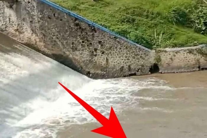 Warga Padangan Kediri Temukan Mayat Perempuan Mengapung di Sungai Warga Padangan Kediri Temukan Mayat Perempuan Mengapung di Sungai