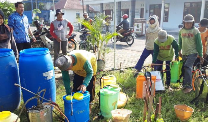 Puluhan Hektare Tanaman Padi di Kecamatan Ngasem dan Gampengrejo Diserang Hama Wereng