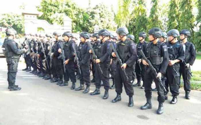 Pasca Penembakan 6 Teroris di Tuban, Puluhan Personel Brimob Sisir Lokasi Ladang Jagung Pasca Penembakan 6 Teroris di Tuban, Puluhan Personel Brimob Sisir Lokasi Ladang Jagung