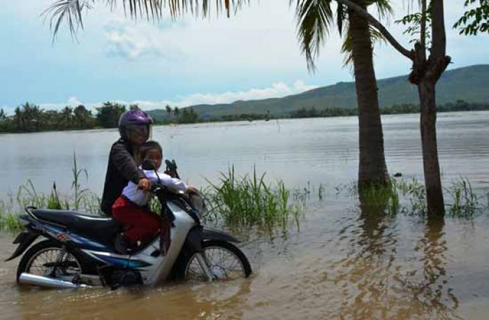 194 Hektar Areal Pertanan di Situbondo Terendam Banjir, Kerugian Ditaksir Capai Rp 776 Juta Lebih