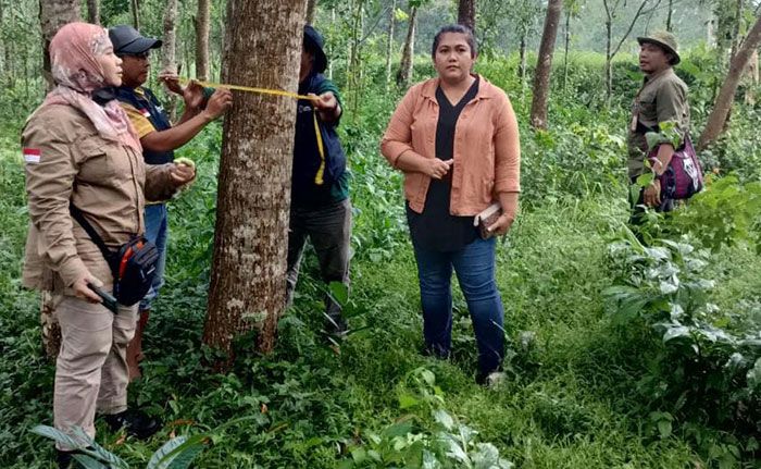 PKSM Arek Lancor dan UPT PTH Dishut Jatim Survei Calon Lahan di Pamekasan PKSM Arek Lancor dan UPT PTH Dishut Jatim Survei Calon Lahan di Pamekasan
