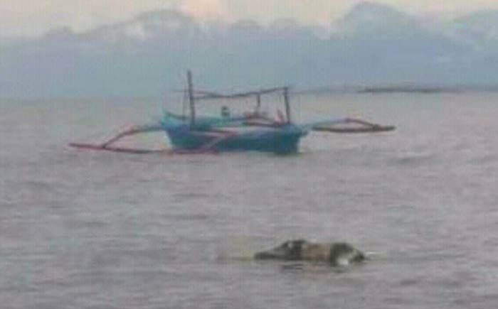 ​Akhirnya, Jasad Pria yang Ceburkan Diri di atas Jembatan Porong Ditemukan di Banyuwangi