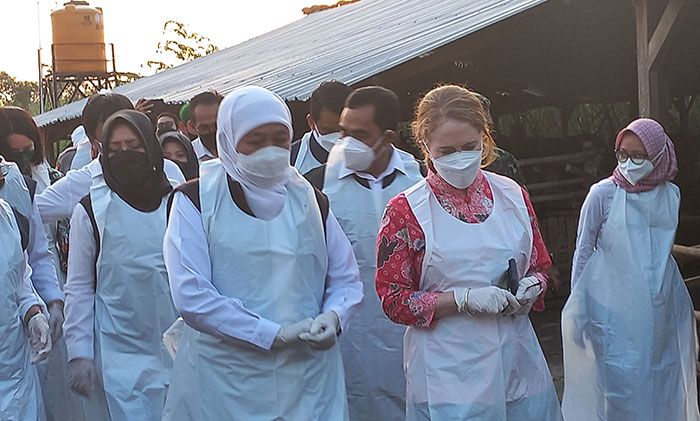 Gubernur Khofifah Pantau Langsung Pengobatan Ternak Sapi di Desa Gunungsari Mojokerto Gubernur Khofifah Pantau Langsung Pengobatan Ternak Sapi di Desa Gunungsari Mojokerto