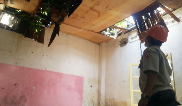 BPBD Pasuruan Sudah Evakuasi Pohon yang Menimpa Rumah di Bangil