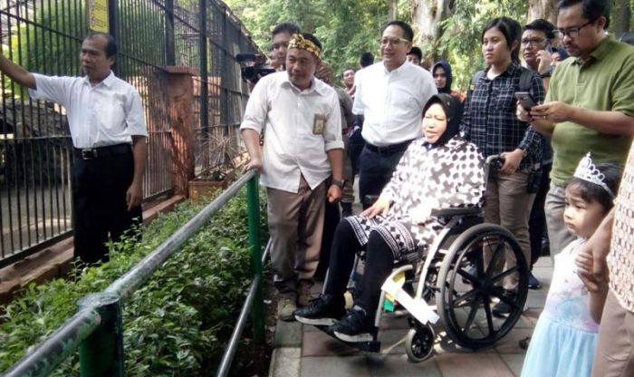 Libur Natal, Wali Kota Risma Ajak Cucunya Jalan-jalan ke KBS Libur Natal, Wali Kota Risma Ajak Cucunya Jalan-jalan ke KBS