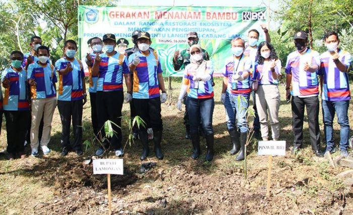 Peduli Lingkungan, Bupati Yuhronur Lakukan Pencanangan Penanaman Bambu Peduli Lingkungan, Bupati Yuhronur Lakukan Pencanangan Penanaman Bambu