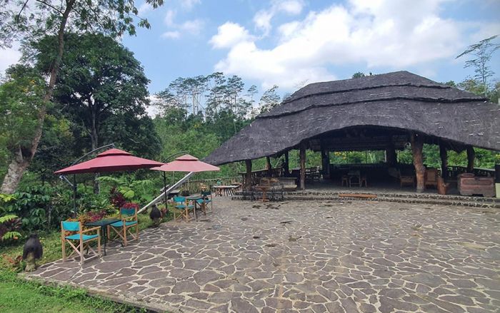 Pesona Wit Kopi Kawisari, Sensasi Ngopi Langsung dari Kebun di Tengah Kesejukan Wlingi