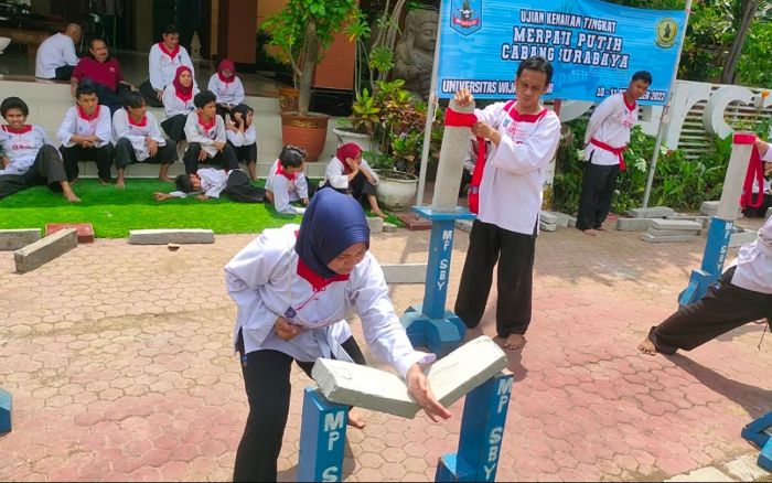 Covid-19 Melandai, Merpati Putih Surabaya Gelar Ujian Kenaikan Tingkat Covid-19 Melandai, Merpati Putih Surabaya Gelar Ujian Kenaikan Tingkat