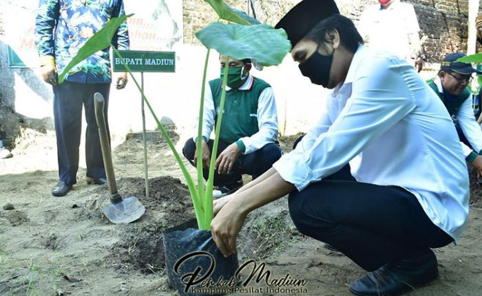 Tanam Talas, MWC NU Wonosari Luncurkan Gerakan Ketahanan Pangan Tanam Talas, MWC NU Wonosari Luncurkan Gerakan Ketahanan Pangan