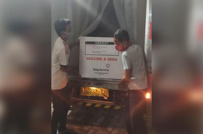 Vaksin Covid-19 Tiba di Pamekasan, Bupati Baddrut Siap Jadi Orang Pertama yang Disuntik Vaksin Covid-19 Tiba di Pamekasan, Bupati Baddrut Siap Jadi Orang Pertama yang Disuntik