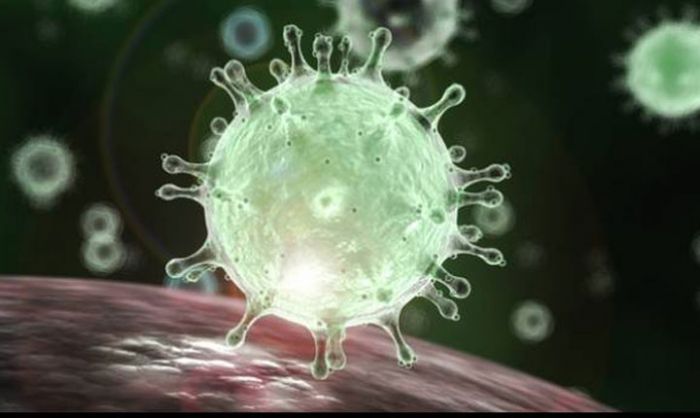 Antisipasi Penyebaran Virus Corona, Dinkes Batu Minta Layanan Kesehatan Waspada Antisipasi Penyebaran Virus Corona, Dinkes Batu Minta Layanan Kesehatan Waspada