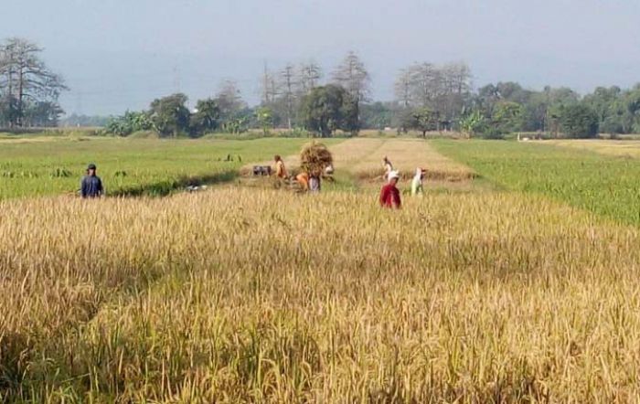 Pemkab Pasuruan Bakal Bangun Embung di Wonorejo Pemkab Pasuruan Bakal Bangun Embung di Wonorejo