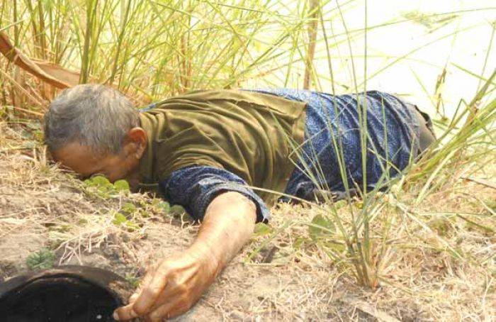 Usai Bacok Istri, Kakek di Plumbong Sidoarjo Bunuh Diri Minum Potas Usai Bacok Istri, Kakek di Plumbong Sidoarjo Bunuh Diri Minum Potas
