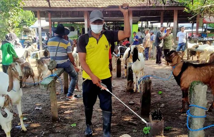 Antisipasi Perluasan PMK, BPBD Jatim Bantu Sterilisasi Pasar Hewan Antisipasi Perluasan PMK, BPBD Jatim Bantu Sterilisasi Pasar Hewan