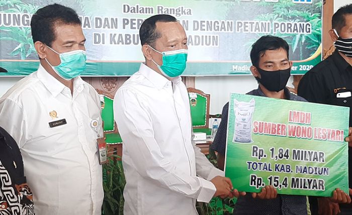 Tingkatkan Produktivitas Tanaman Porang, Petani Madiun Dapat Gerojokan Dana Rp 15 Miliar Tingkatkan Produktivitas Tanaman Porang, Petani Madiun Dapat Gerojokan Dana Rp 15 Miliar