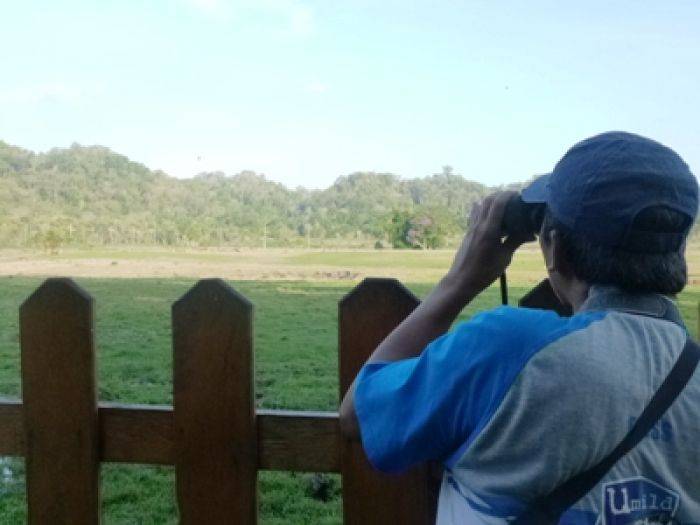 Savana Sadengan Alas Purwo, Merekam Keganasan Hukum Rimba