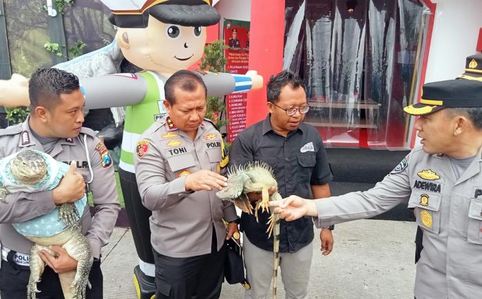 Arus Lalin di Kabupaten Pasuruan Naik 90%, Kapolda Jatim Imbau Pengendara Tak Paksakan Diri Arus Lalin di Kabupaten Pasuruan Naik 90%, Kapolda Jatim Imbau Pengendara Tak Paksakan Diri