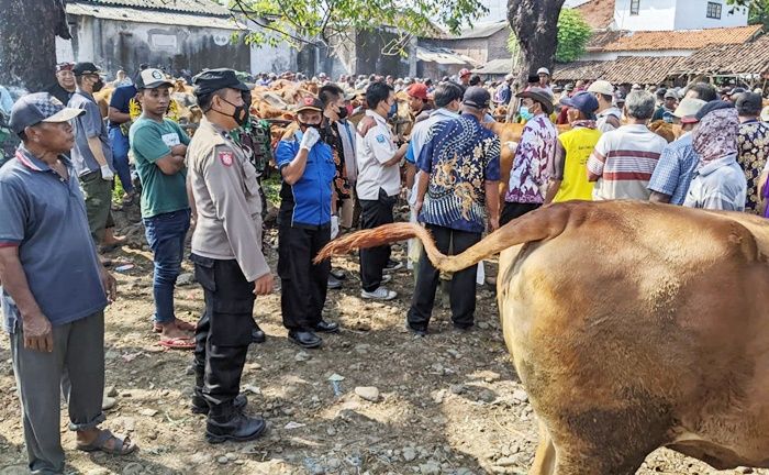 Cegah PMK Meluas, Disnak Gandeng Polres Probolinggo Cek Langsung ke Peternakan Sapi dan Pasar Hewan