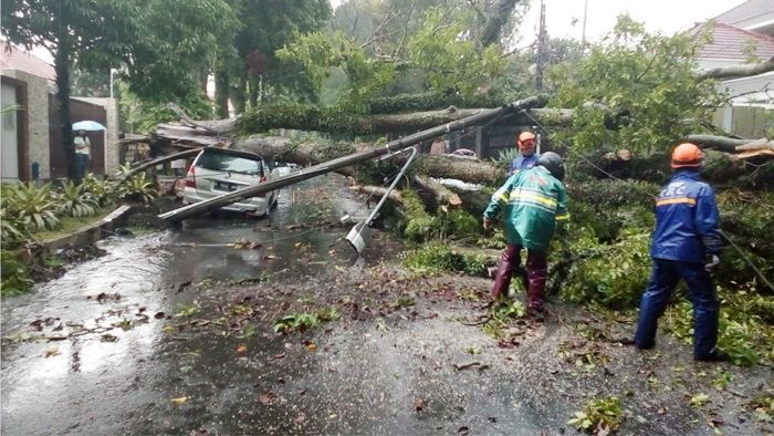 Hujan Deras, Sejumlah Pohon-pohon Besar di Kota Malang Tumbang Timpa Kendaraan Hujan Deras, Sejumlah Pohon-pohon Besar di Kota Malang Tumbang Timpa Kendaraan