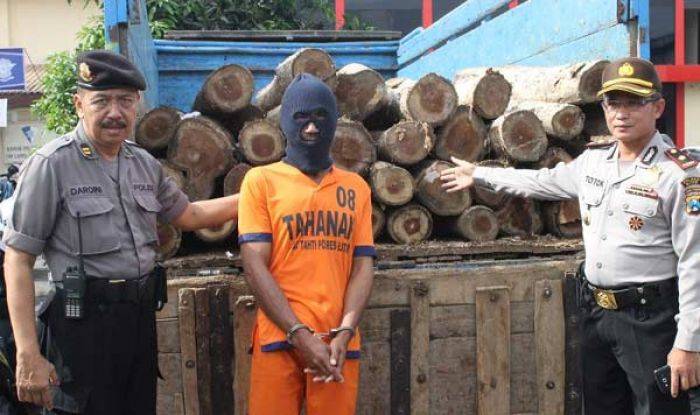 Sebulan, 5 Tersangka Pembalakan Liar di Blitar Ditangkap Sebulan, 5 Tersangka Pembalakan Liar di Blitar Ditangkap