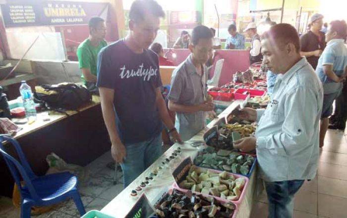 Hidupkan Batu Tourism Center, Gelar Pameran Batu Akik Seminggu Hidupkan Batu Tourism Center, Gelar Pameran Batu Akik Seminggu