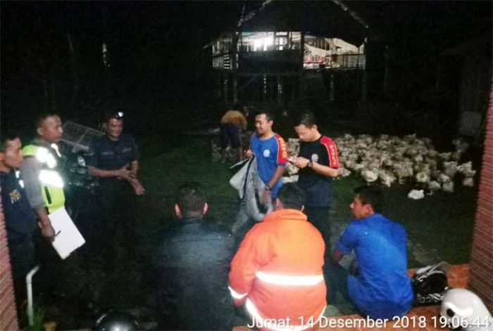 Usir Lalat, Kandang Ayam di Blitar Terbakar, 1.500 Usir Lalat, Kandang Ayam di Blitar Terbakar, 1.500