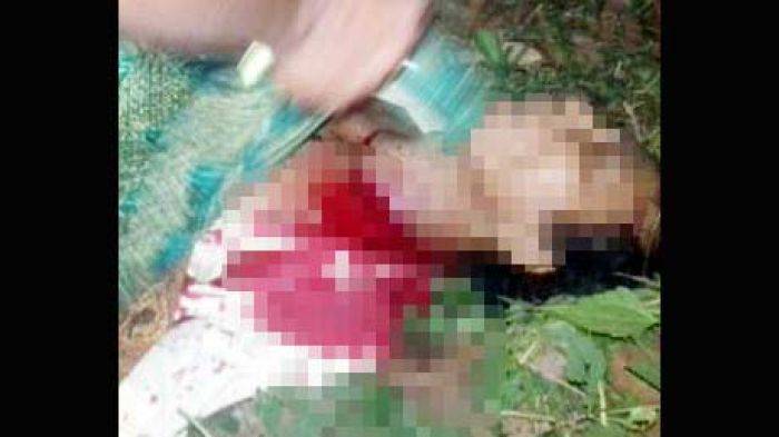 Diduga Punya Ilmu Hitam, Warga Dasuk Sumenep Diduga Dibunuh Diduga Punya Ilmu Hitam, Warga Dasuk Sumenep Diduga Dibunuh