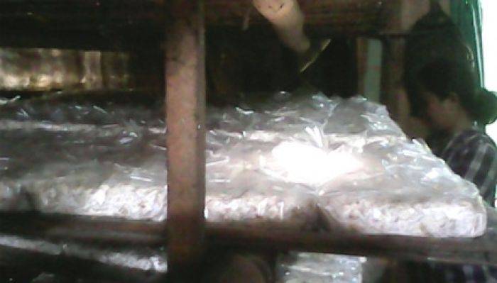 Harga Kedelai Naik, Produsen Tempe dan Tahu di Tuban Kelimpungan Harga Kedelai Naik, Produsen Tempe dan Tahu di Tuban Kelimpungan