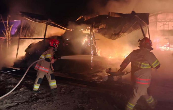 Kandang Ayam di Bojonegoro Terbakar, 17 Ribu Ekor Mati Terpanggang