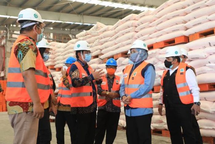 Tanam Beringin Putih di Petrokimia Gresik, Gubernur Khofifah: Stok Pupuk Aman Tanam Beringin Putih di Petrokimia Gresik, Gubernur Khofifah: Stok Pupuk Aman