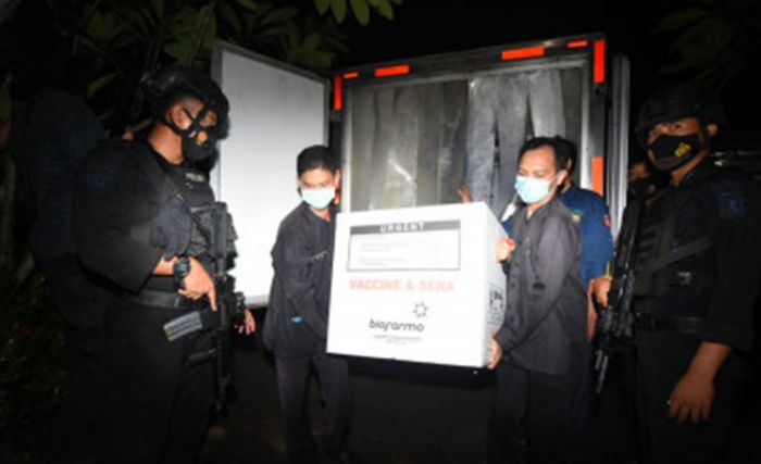 5.400 Dosis Vaksin Covid-19 Tiba di Banyuwangi, Penyuntikan Dimulai Besok 5.400 Dosis Vaksin Covid-19 Tiba di Banyuwangi, Penyuntikan Dimulai Besok