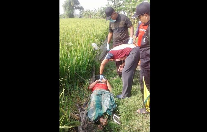 Santri di Duduksampeyan Gresik Tewas Kesetrum Jebakan Tikus Santri di Duduksampeyan Gresik Tewas Kesetrum Jebakan Tikus