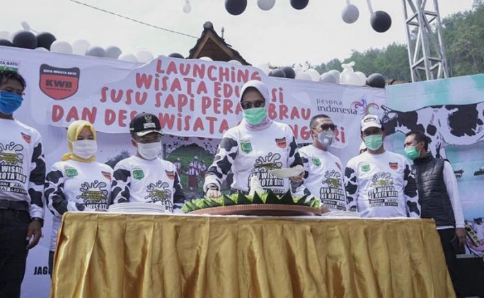 Dusun Brau Disulap jadi Wisata Edukasi Sapi Perah