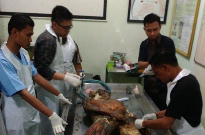 Warga Grogol Tulangan Dikagetkan Mayat Membusuk di Kamar Warga Grogol Tulangan Dikagetkan Mayat Membusuk di Kamar