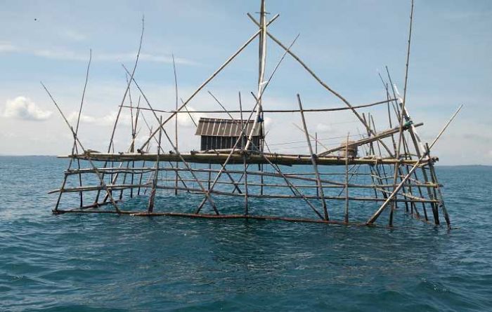 Mengenal Bagan Apung, Alat Tangkap Ikan yang Ramah Lingkungan