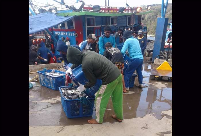 Produksi Ikan di Pacitan Merosot, DKP Pastikan tak akan Pengaruhi Harga Pasar