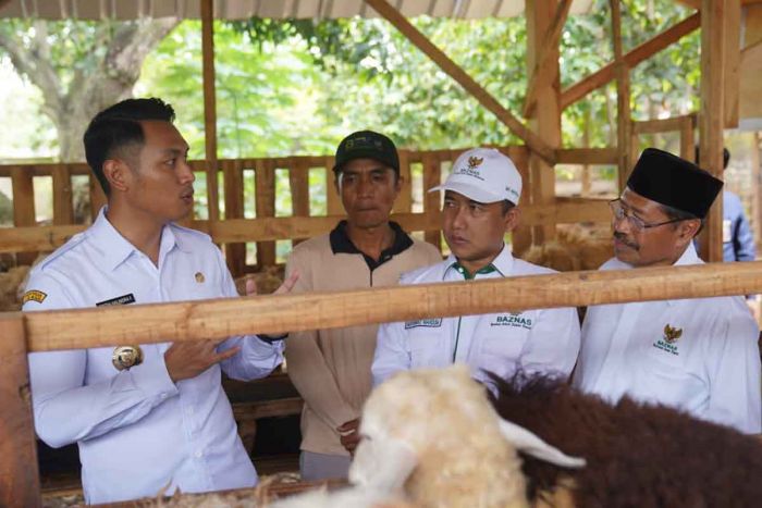Baznas Luncurkan Balai Ternak di Tuban, Bupati Lindra: Demi Masyarakat Sejahtera Baznas Luncurkan Balai Ternak di Tuban, Bupati Lindra: Demi Masyarakat Sejahtera
