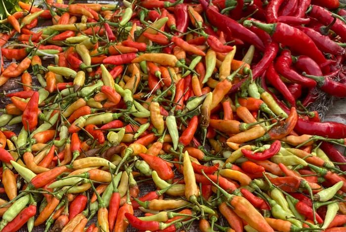 Jelang Ramadan, Harga Cabai Rawit di Jabar Naik hingga Rp102.200/kg Jelang Ramadan, Harga Cabai Rawit di Jabar Naik hingga Rp102.200/kg