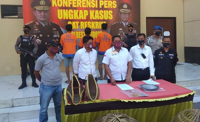 Gerebek Judi Sabung Ayam di Sidoarjo, Satu Pelaku Reaktif Covid-19 Gerebek Judi Sabung Ayam di Sidoarjo, Satu Pelaku Reaktif Covid-19